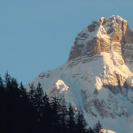 Affittacamere Pizzeria Marmolada Rocca Pietore Buitenkant foto