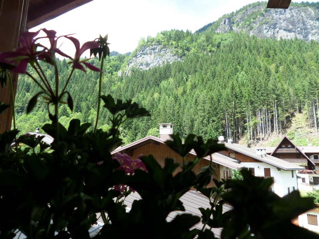 Affittacamere Pizzeria Marmolada Rocca Pietore Buitenkant foto
