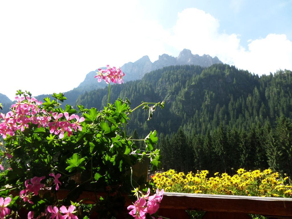 Affittacamere Pizzeria Marmolada Rocca Pietore Buitenkant foto